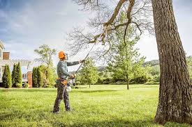 Best Lawn Mowing  in Osage City, KS