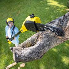 How Our Tree Care Process Works  in  Osage City, KS